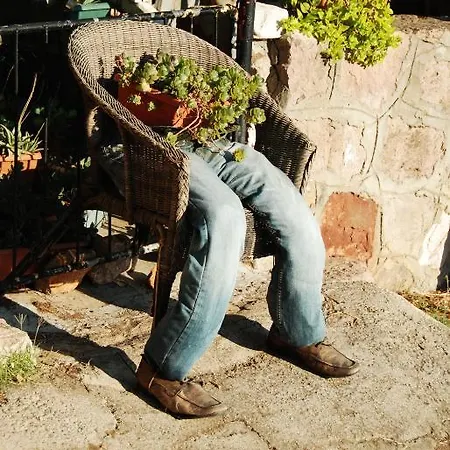 Tas Ayvalı