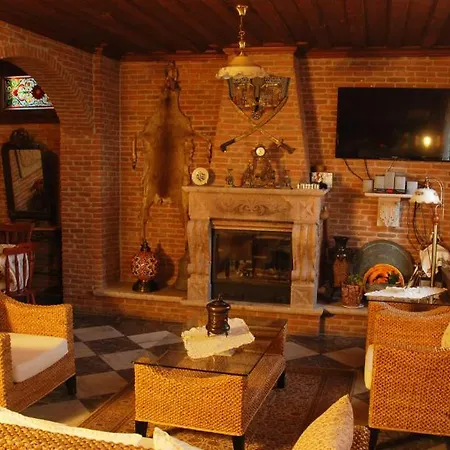 Otel Tas *